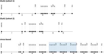 Comparative Severity Assessment of Genetic, Stress-Based, and Pharmacological Mouse Models of Depression